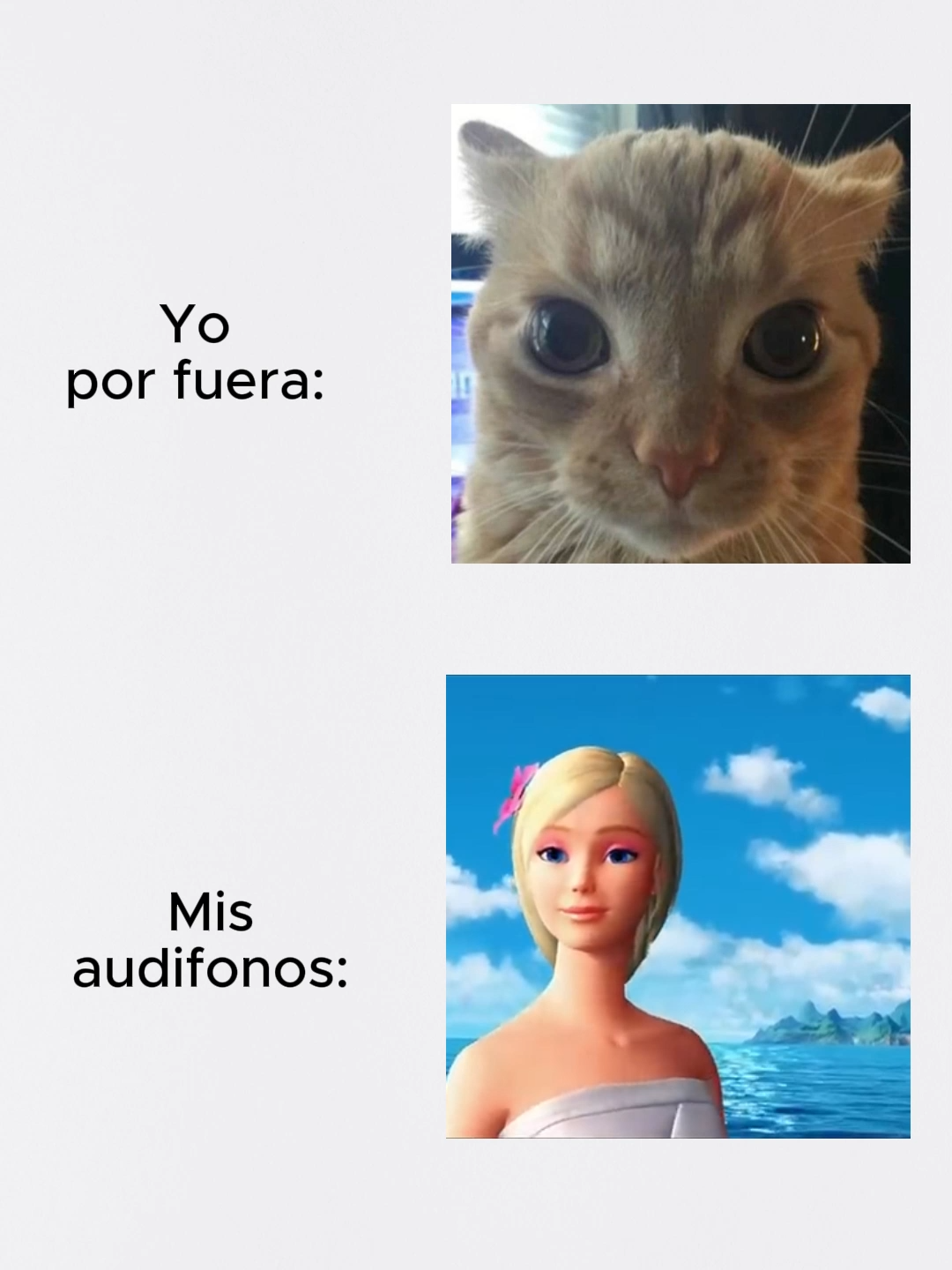 @angelecita