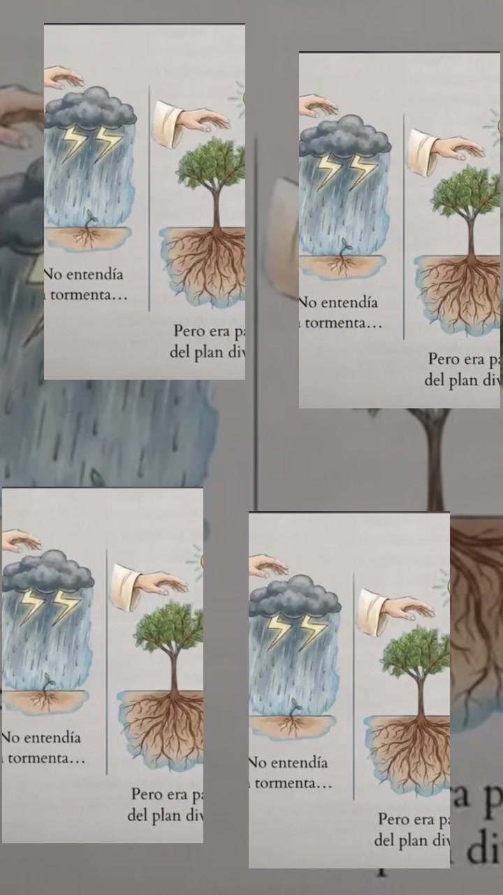 @Angeles Quintero campos