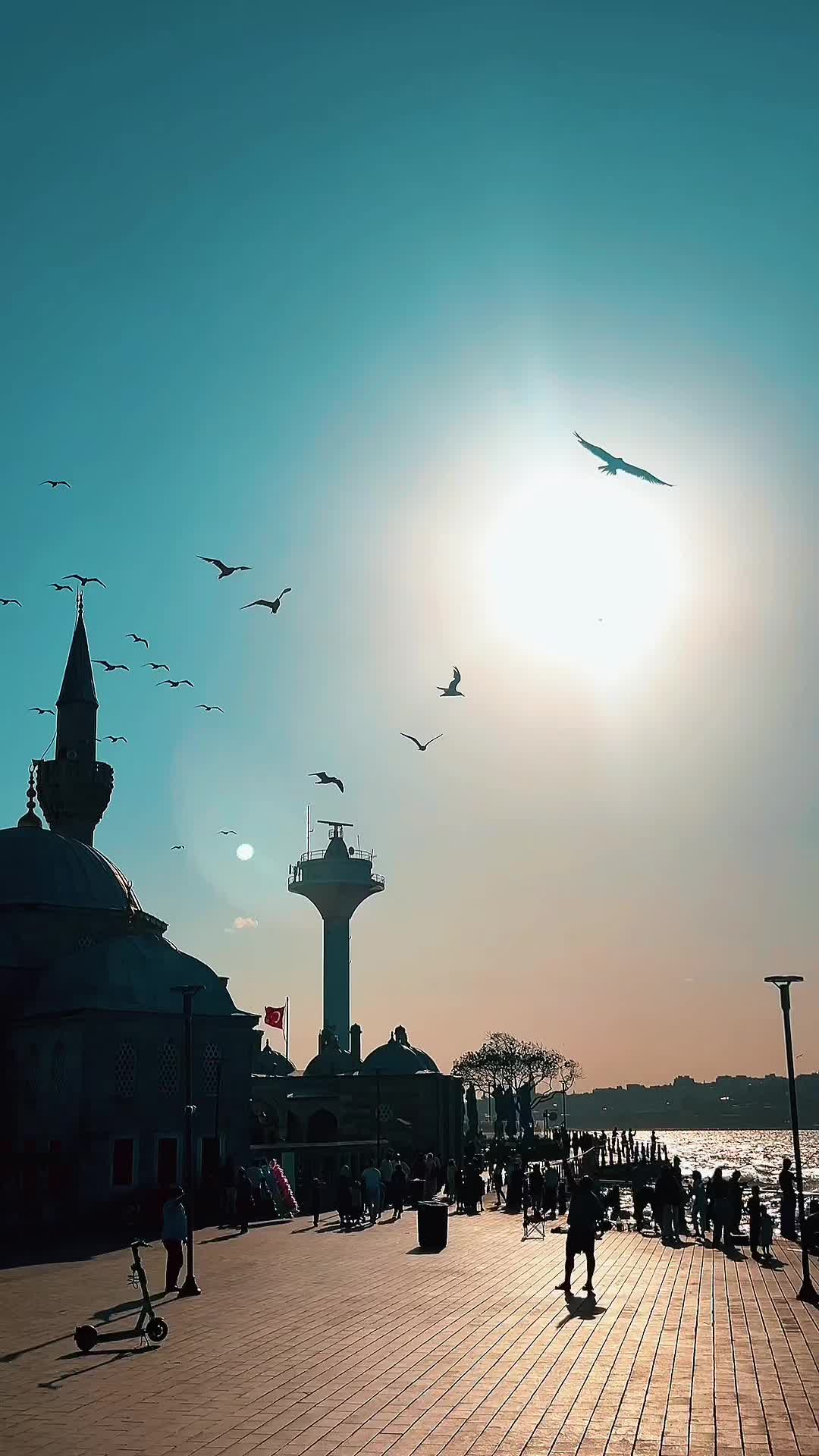 @Birsenim