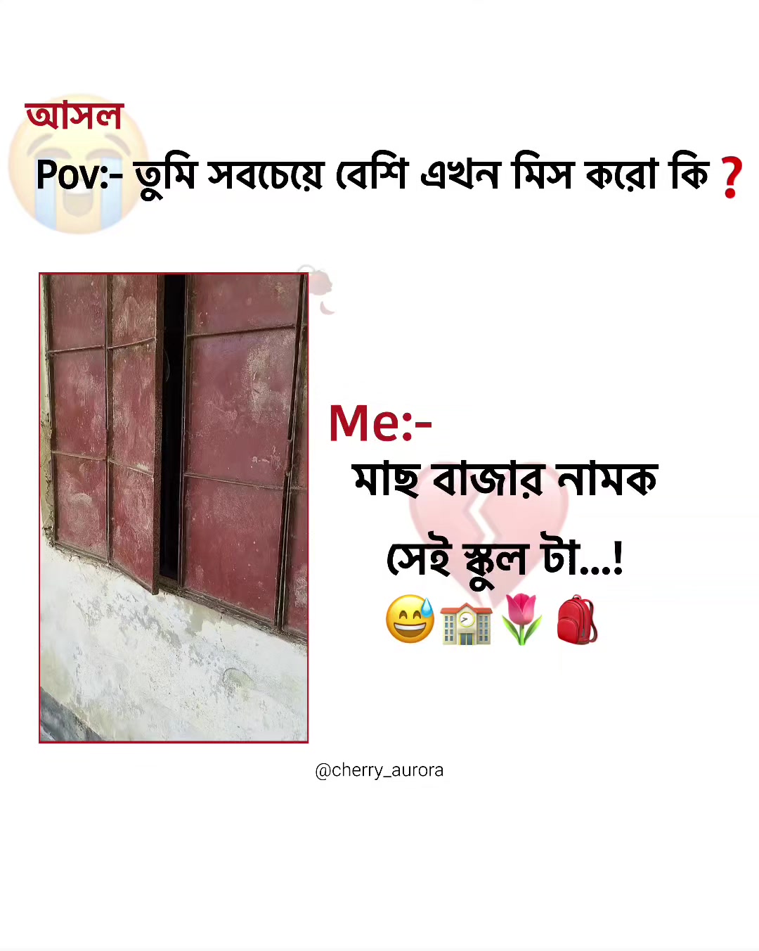 @˖ ִֶָ 𝗔𝘂𝗿𝗼𝗿𝗮 ୨୧ ऑरोरा 🩷