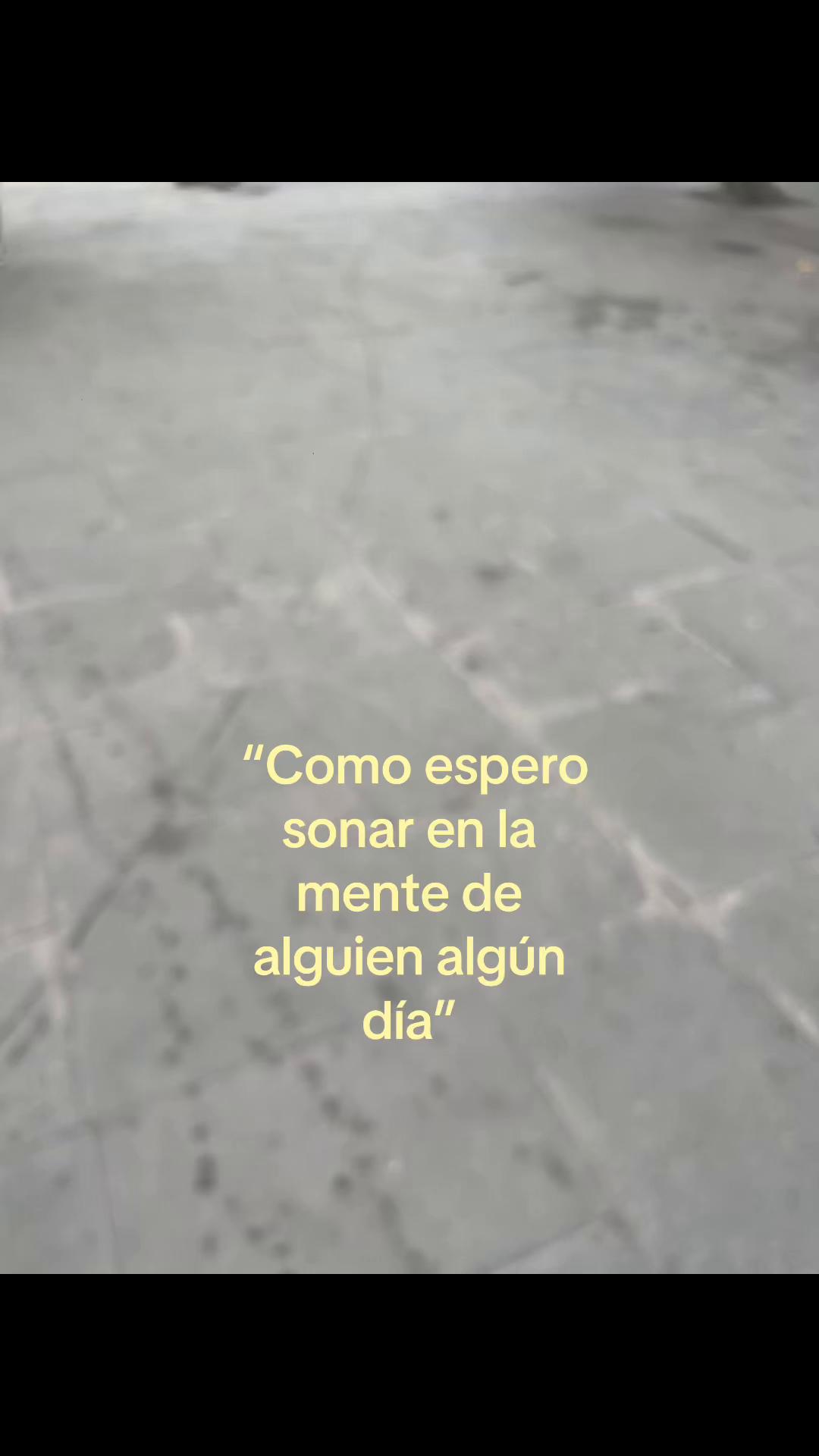 @Music🎙️