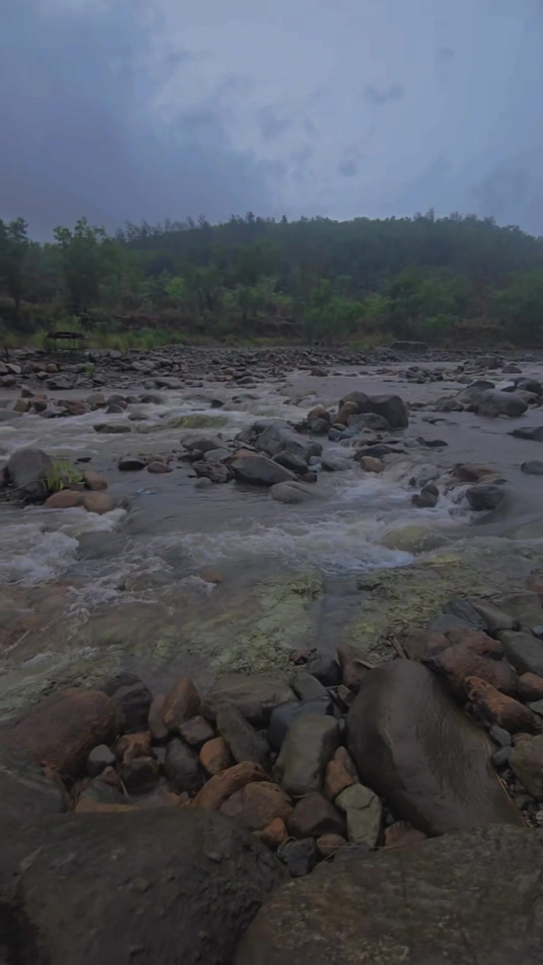 @ليو لي