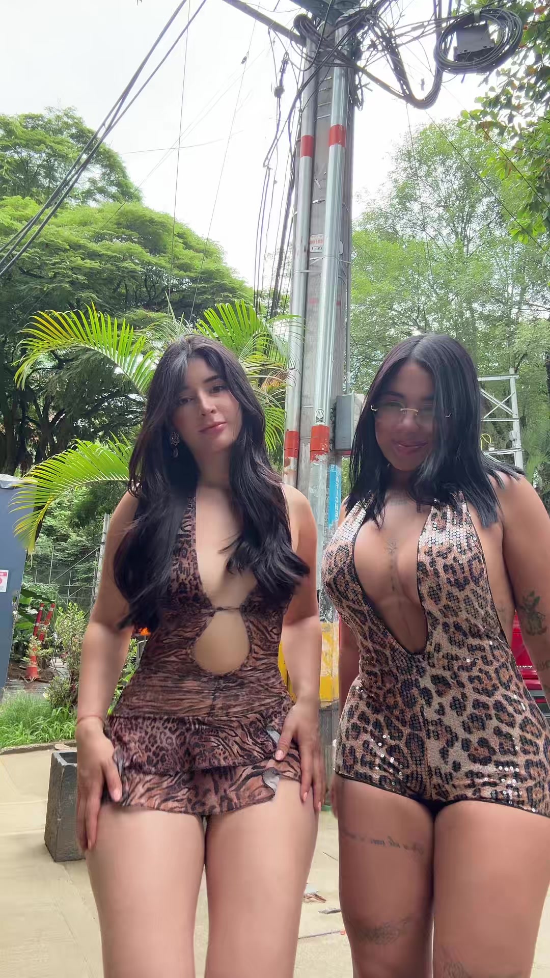 @catsara