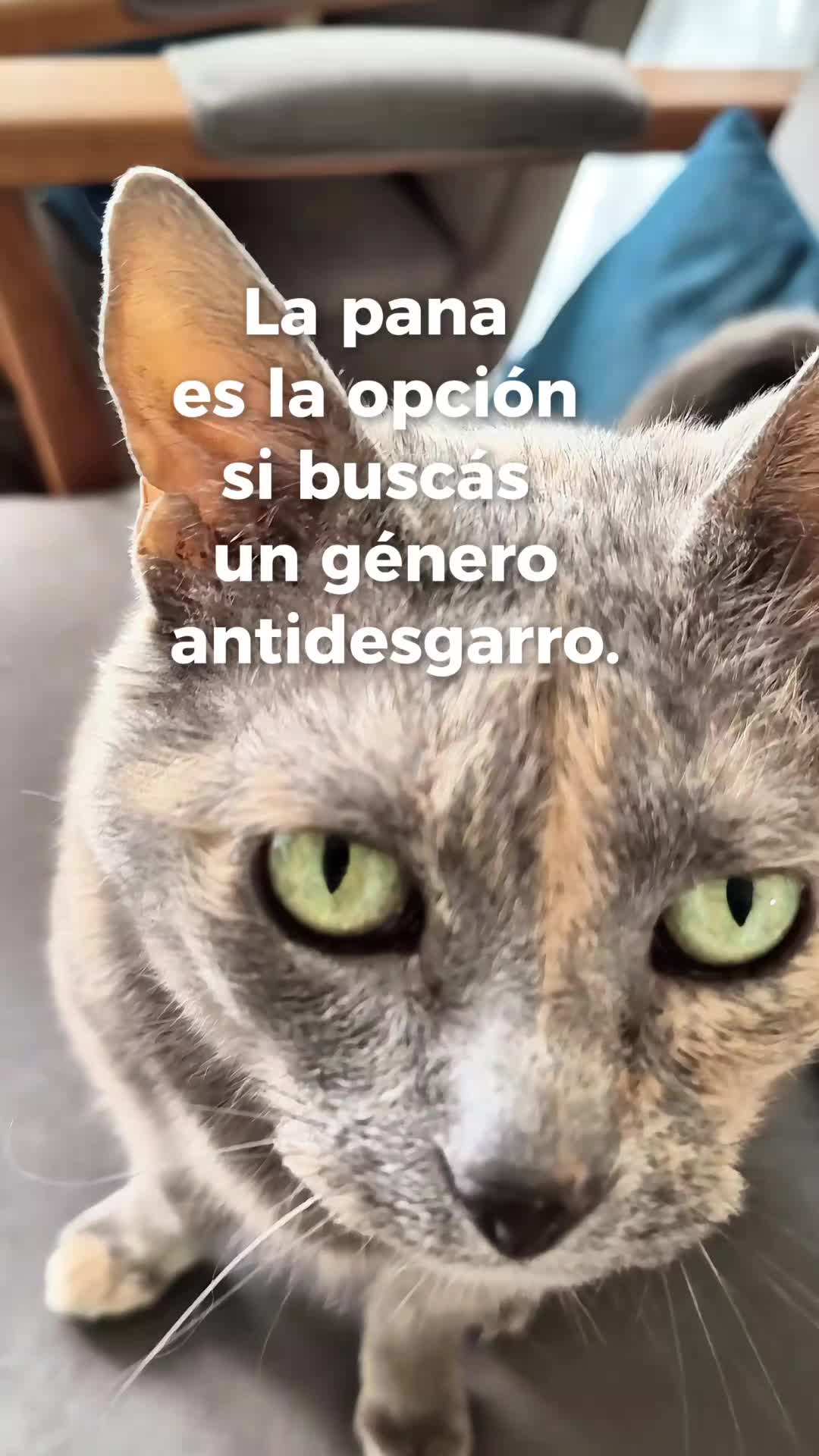 @redecorateok