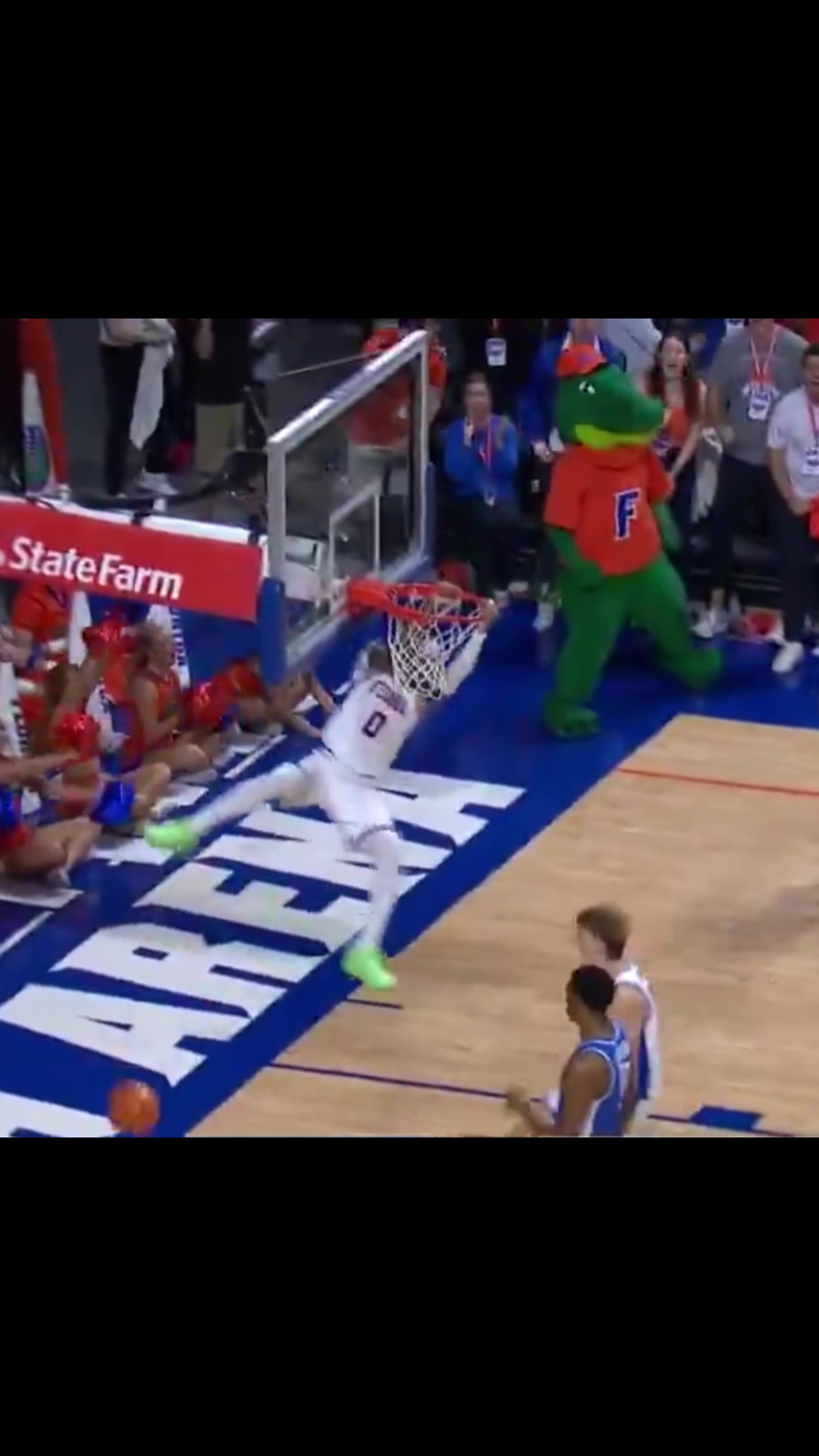 @Gator Clipz