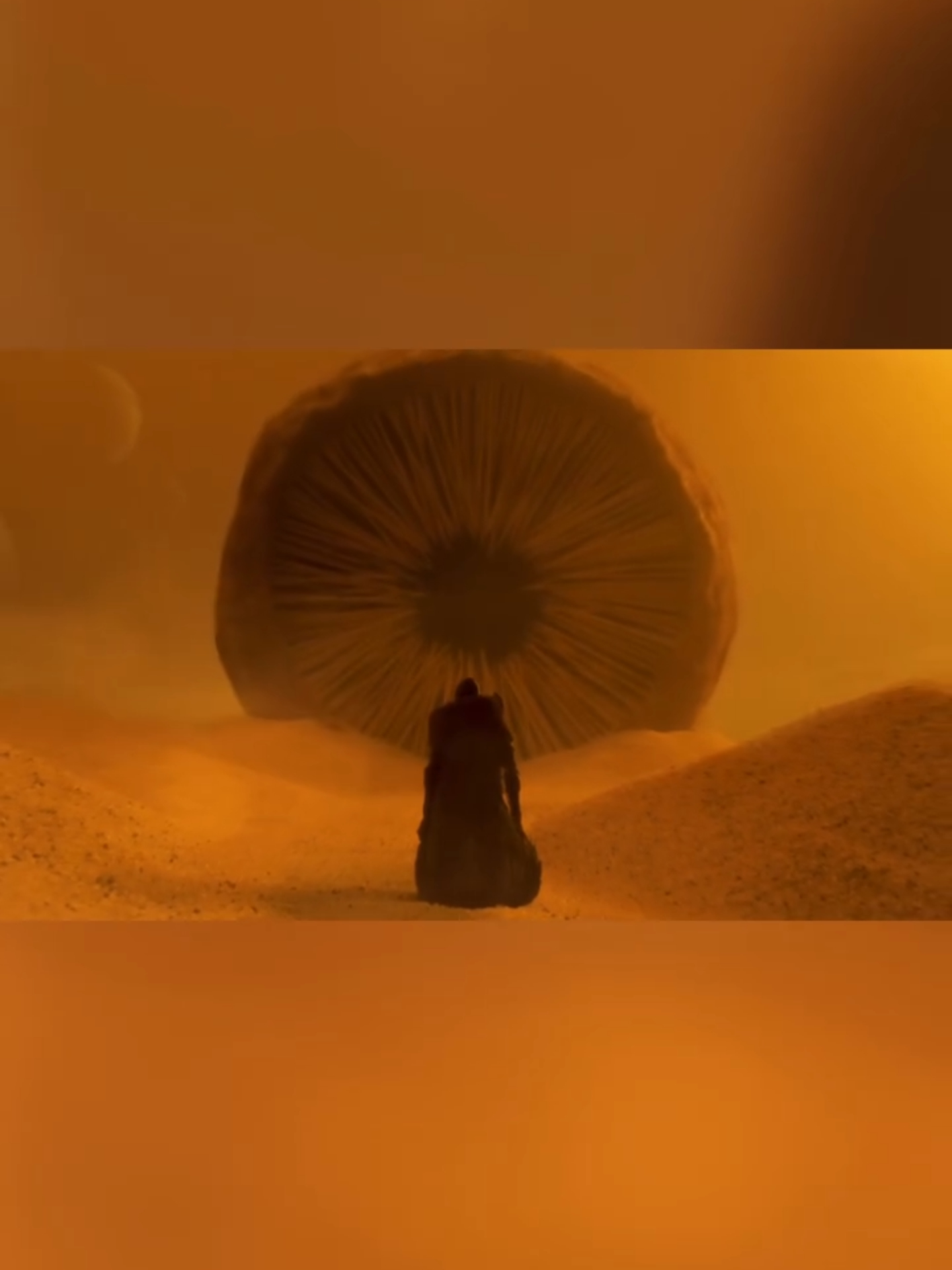@DZOFILM