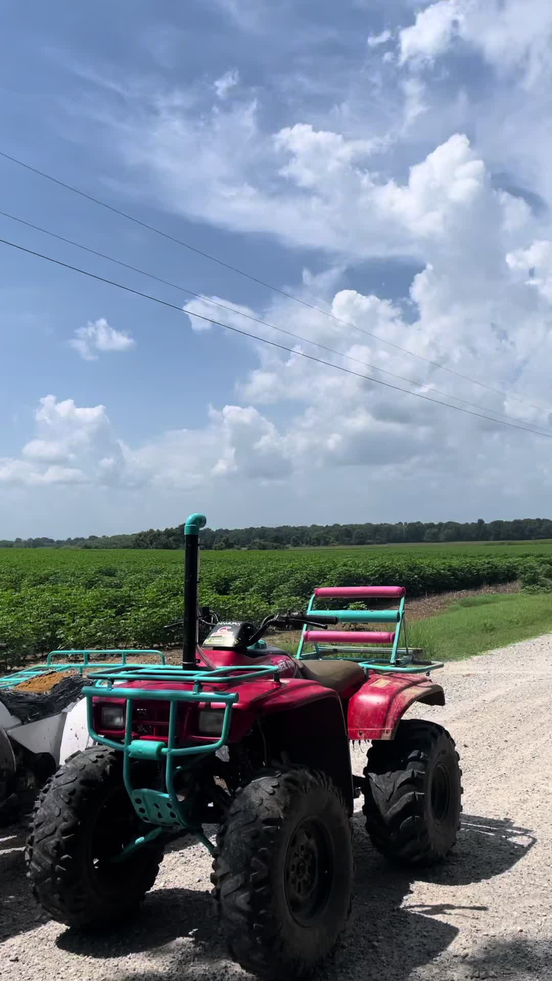 @dat_kx450