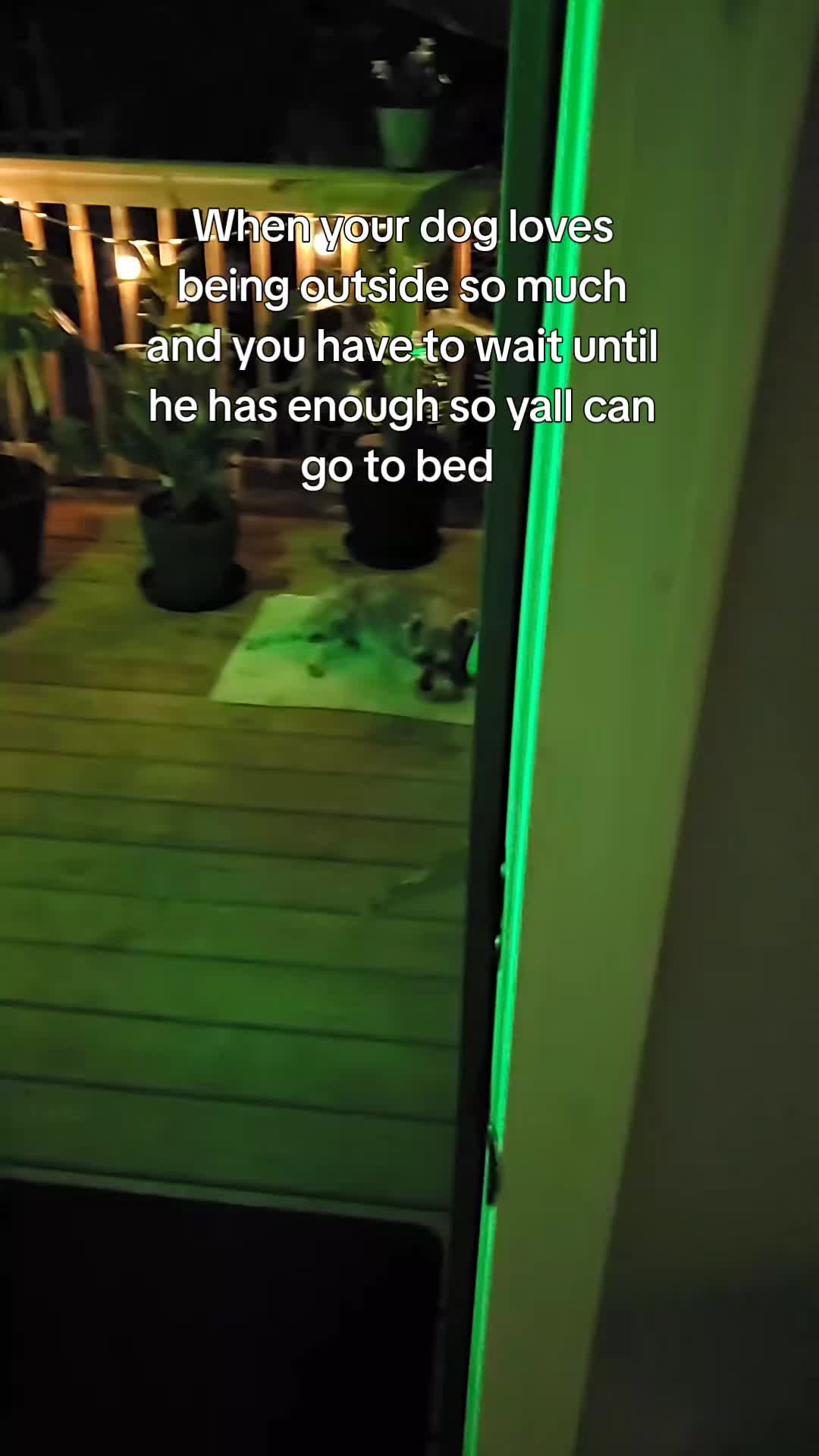 @Tiny