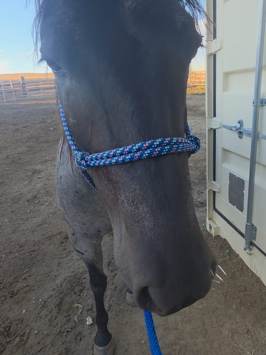 @wyomingrancher