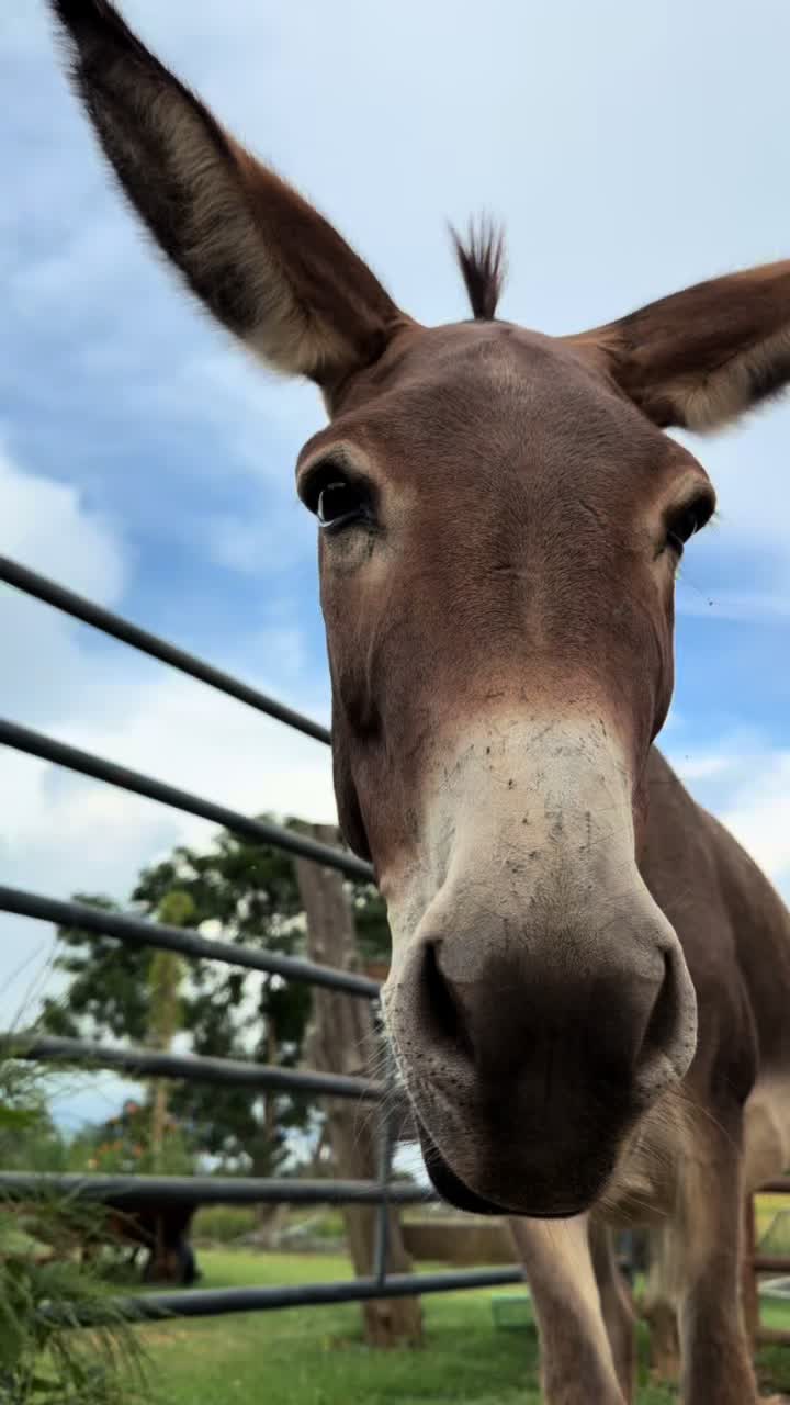 @jacksonridgefarm