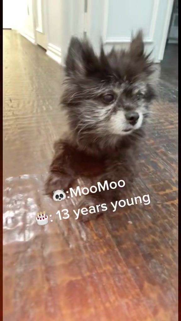 @Stachias•World👸🏼🐈🐕🦺♥️🐾