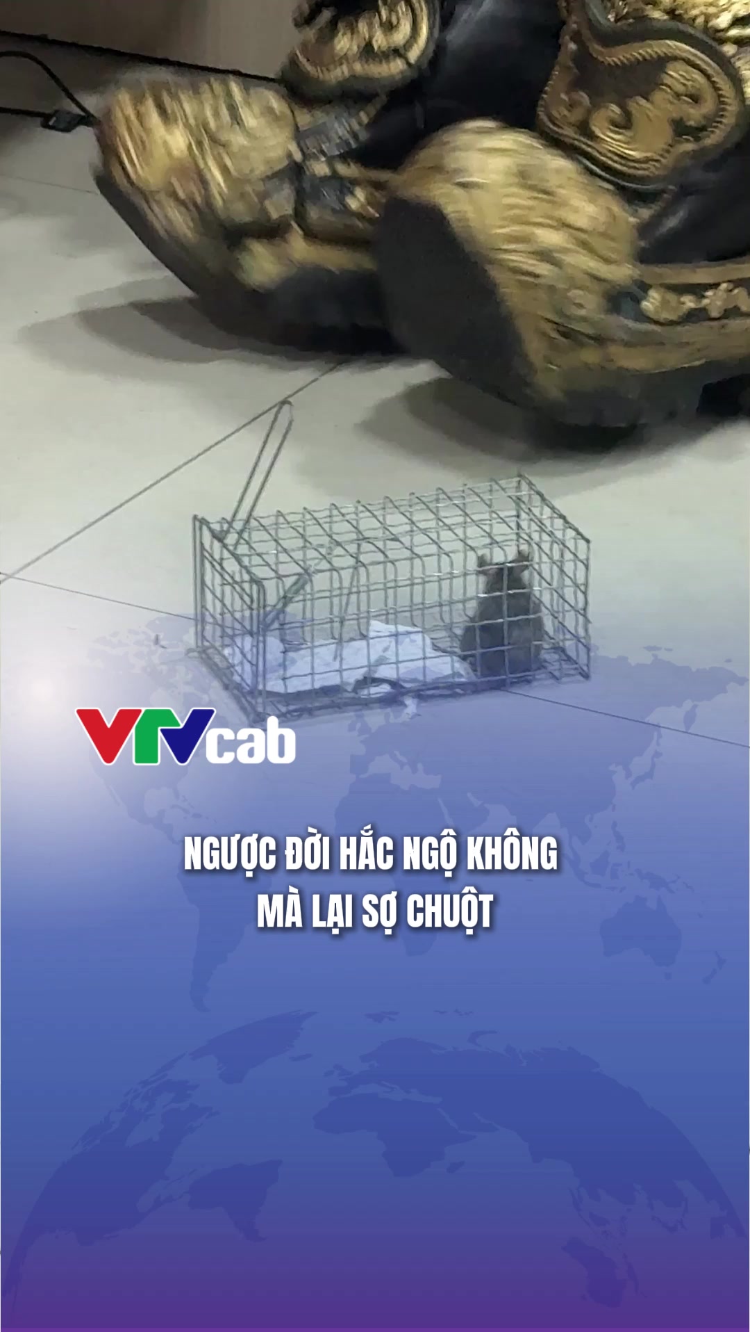 @VTVcab Trending - Giải tr&iacute;