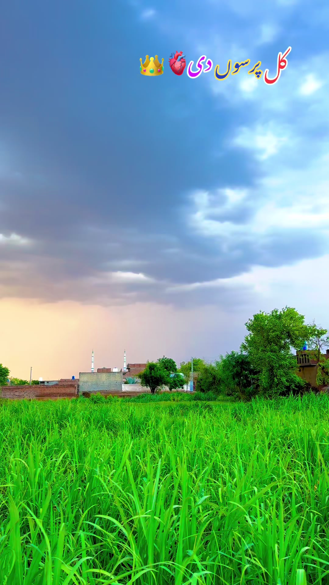 @پنجابی کلچر 🌾🍂