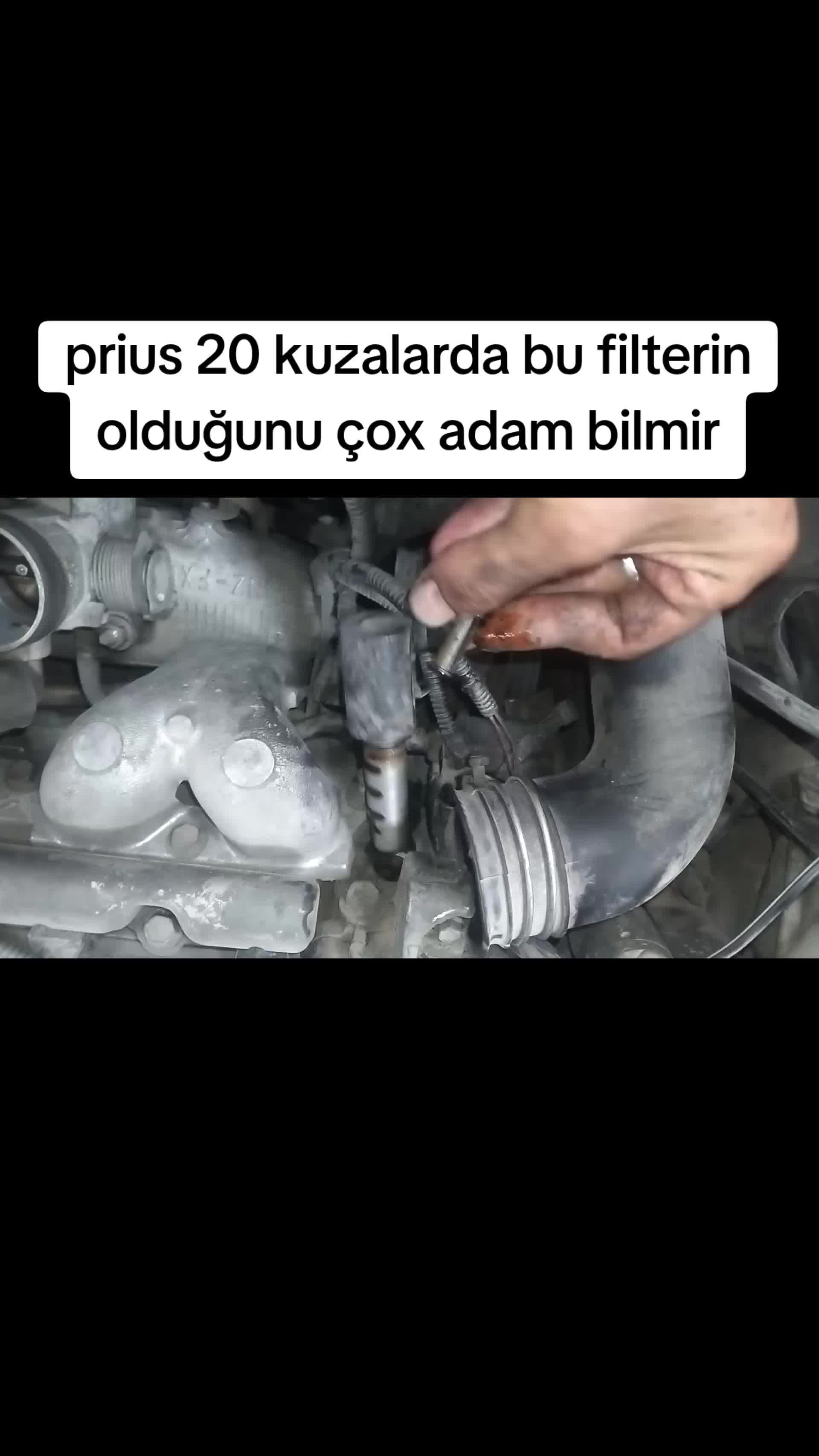 @ismim_diller_ezberidir_