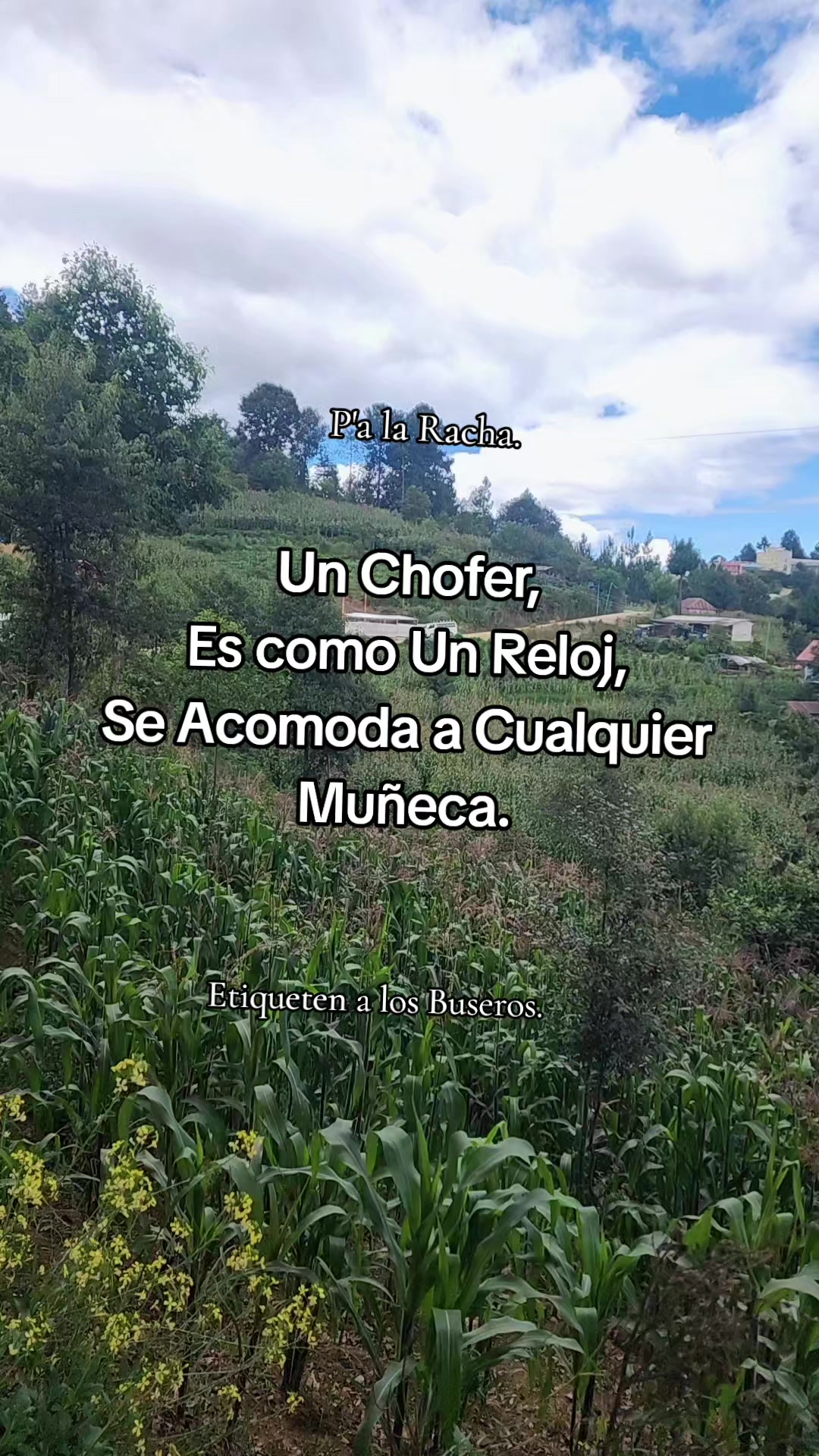 @La Sirenita