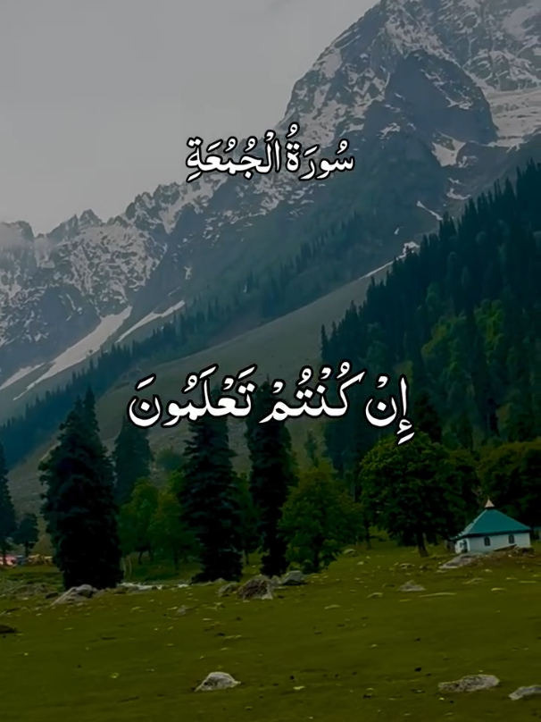 @جام اظہر محمود خالدی 🇵🇰🇸🇦