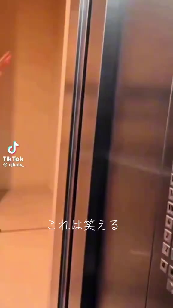 @⚜️🕌⚛️クロッケン⚛️🕌⚜️