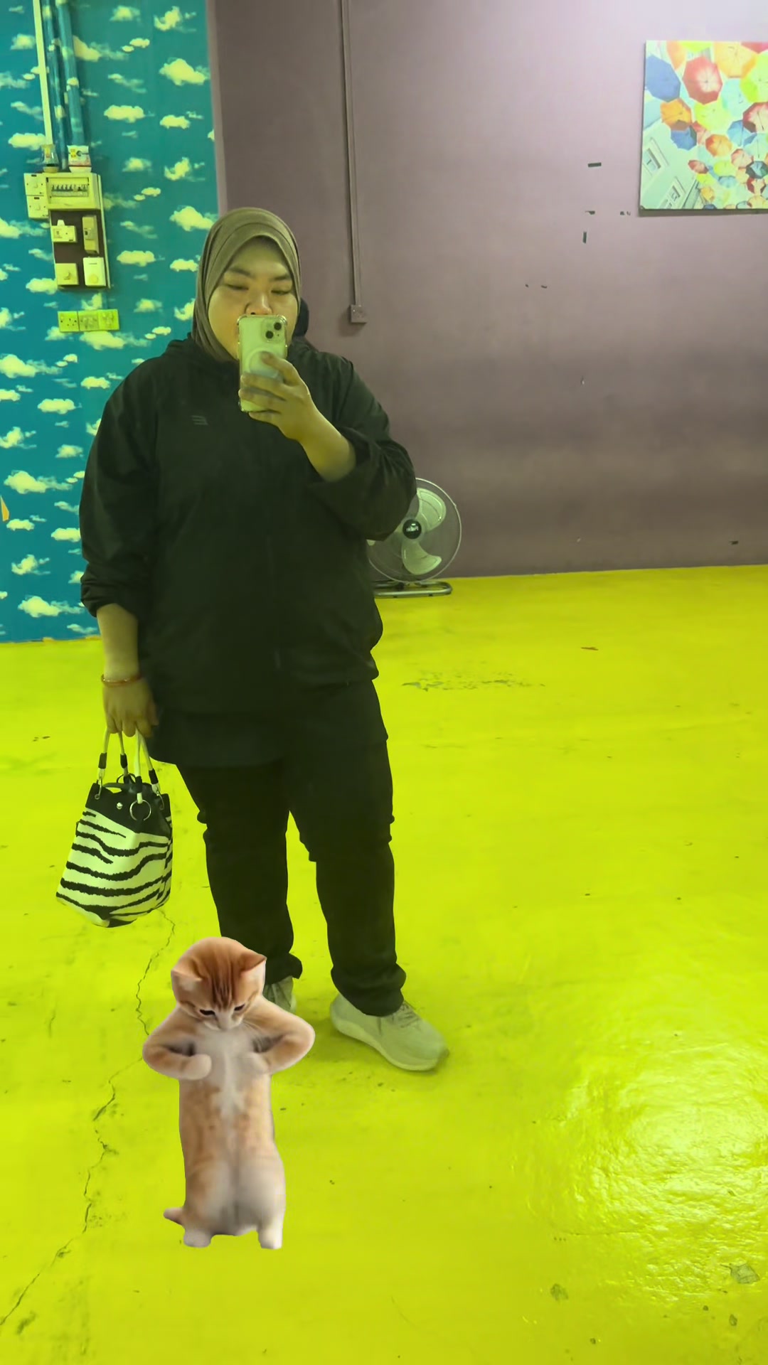 @ŵ&Atilde;&ntilde;Ŷ🪽