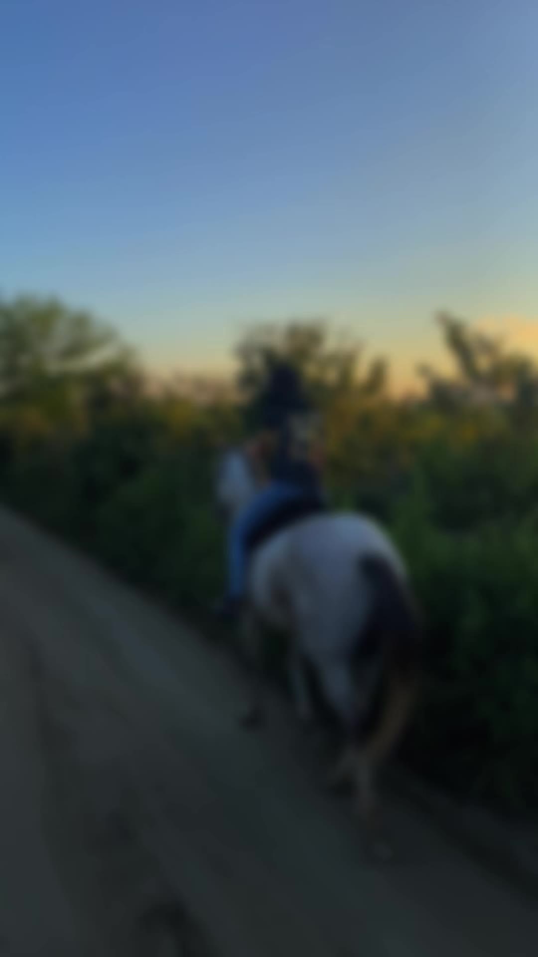 @𝐋𝐚𝐫𝐚 𝐅𝐫𝐚𝐳𝐚̃𝐨