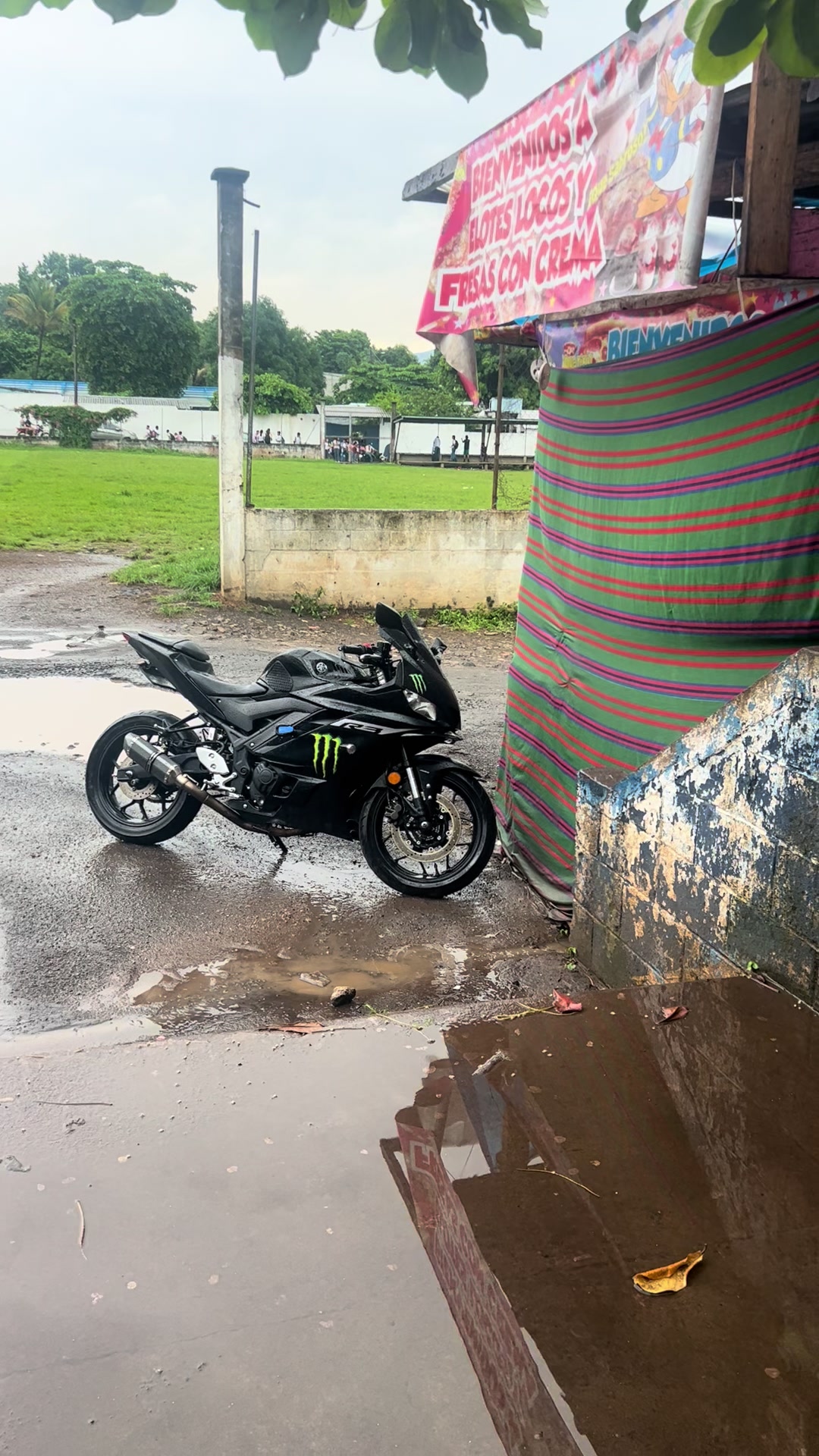 @De León R6