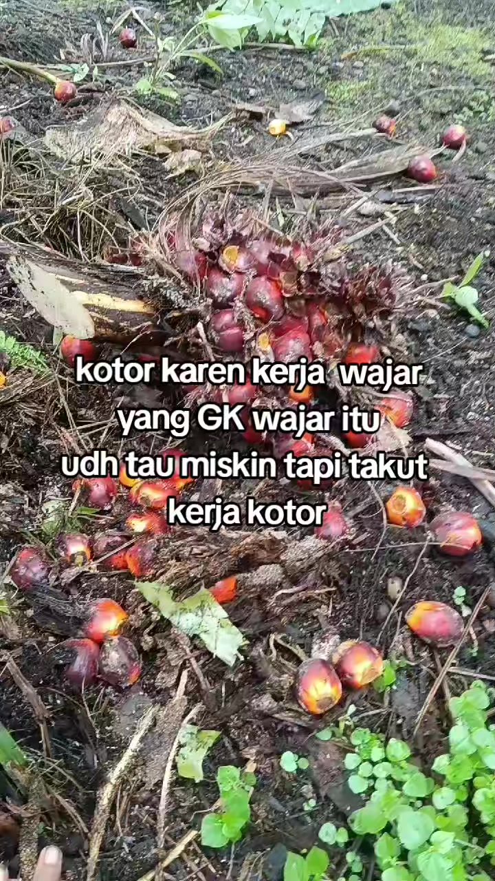 @_adik kecil 🦖🫦