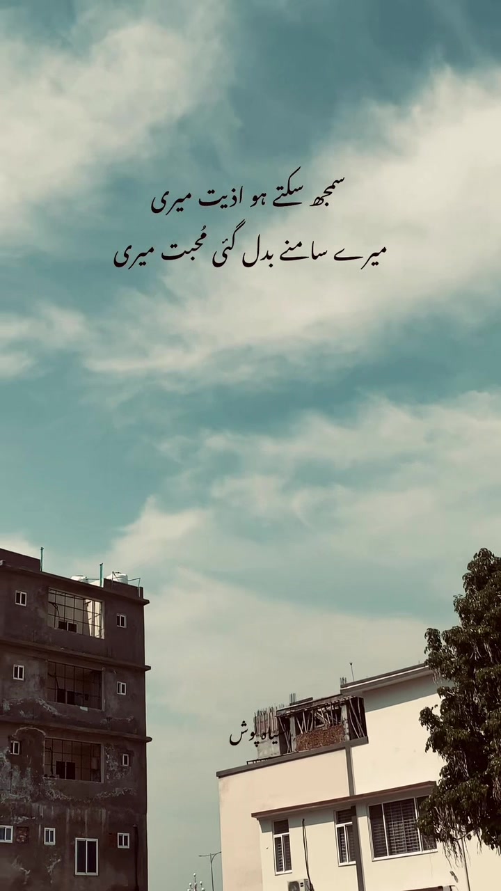 @سیاہ پوش🖤