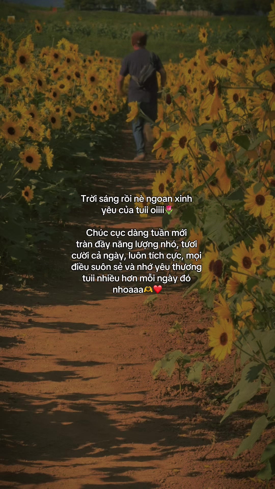 @ᥫᩣѕυy мộт cнúт౨ৎ