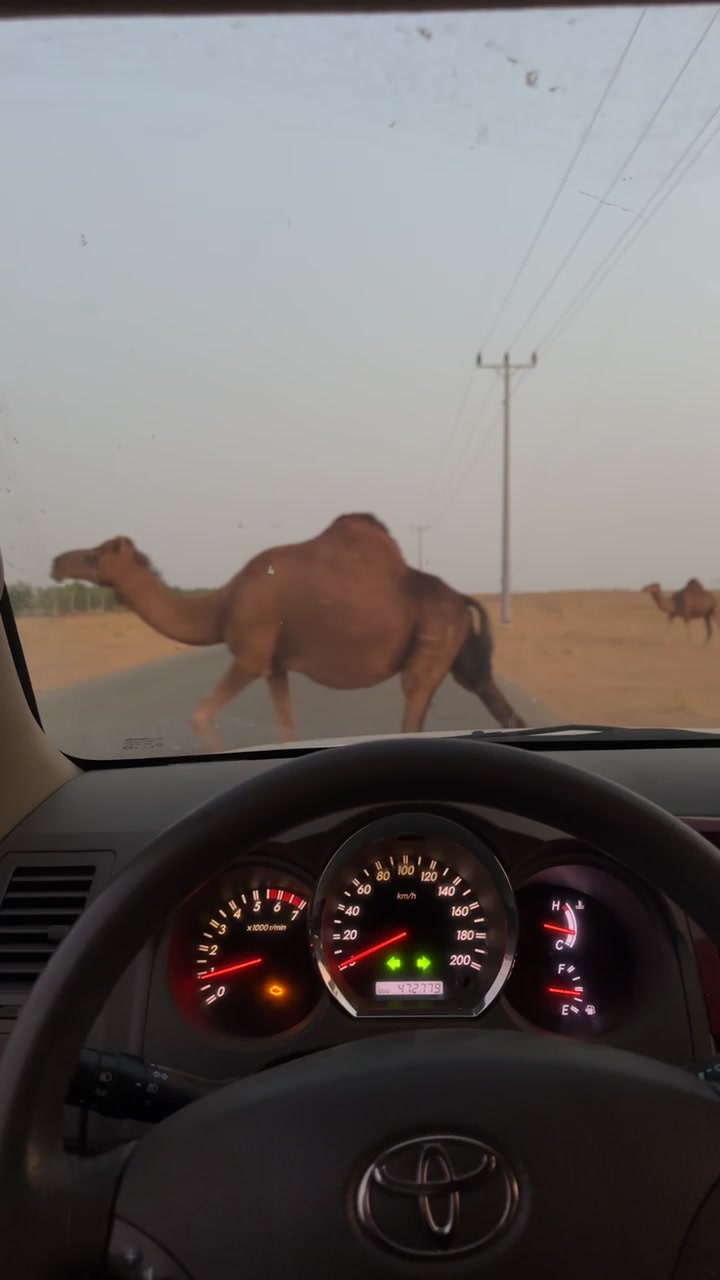 @أبــو أريـــس