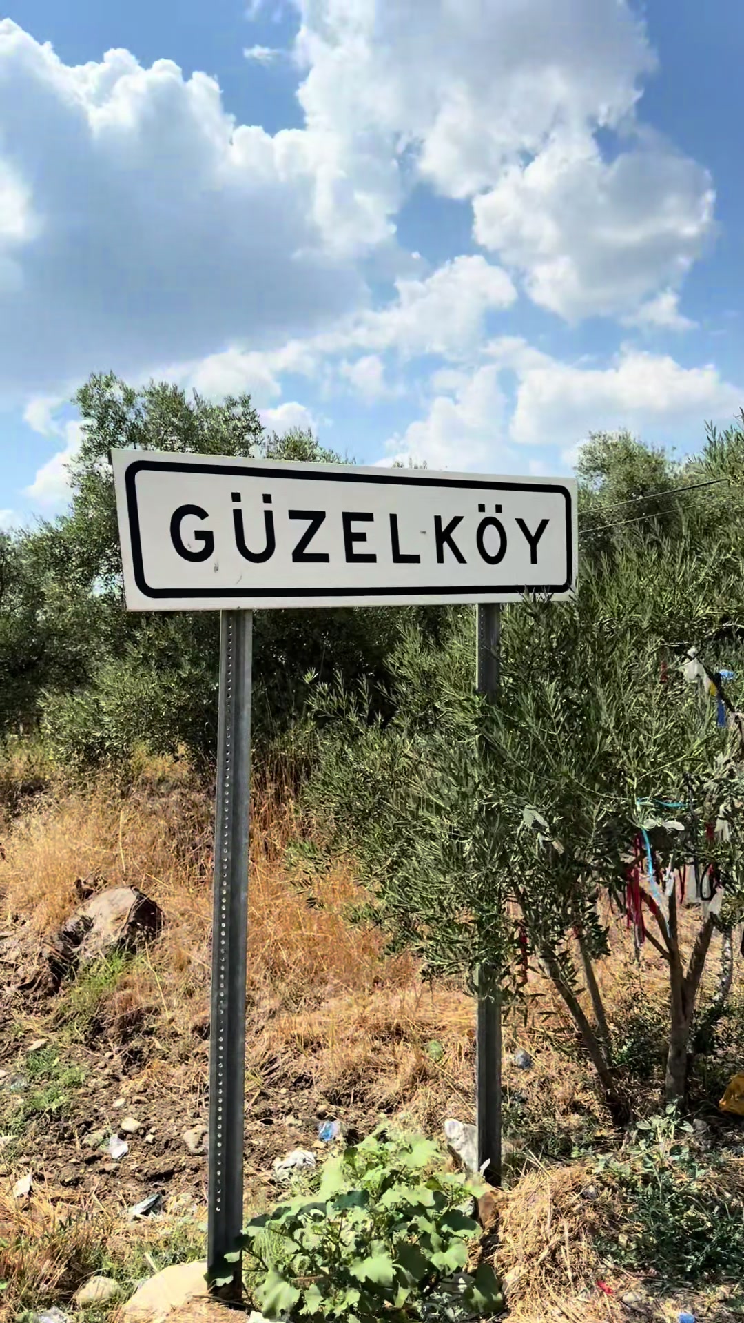 @Gizem Bayhan