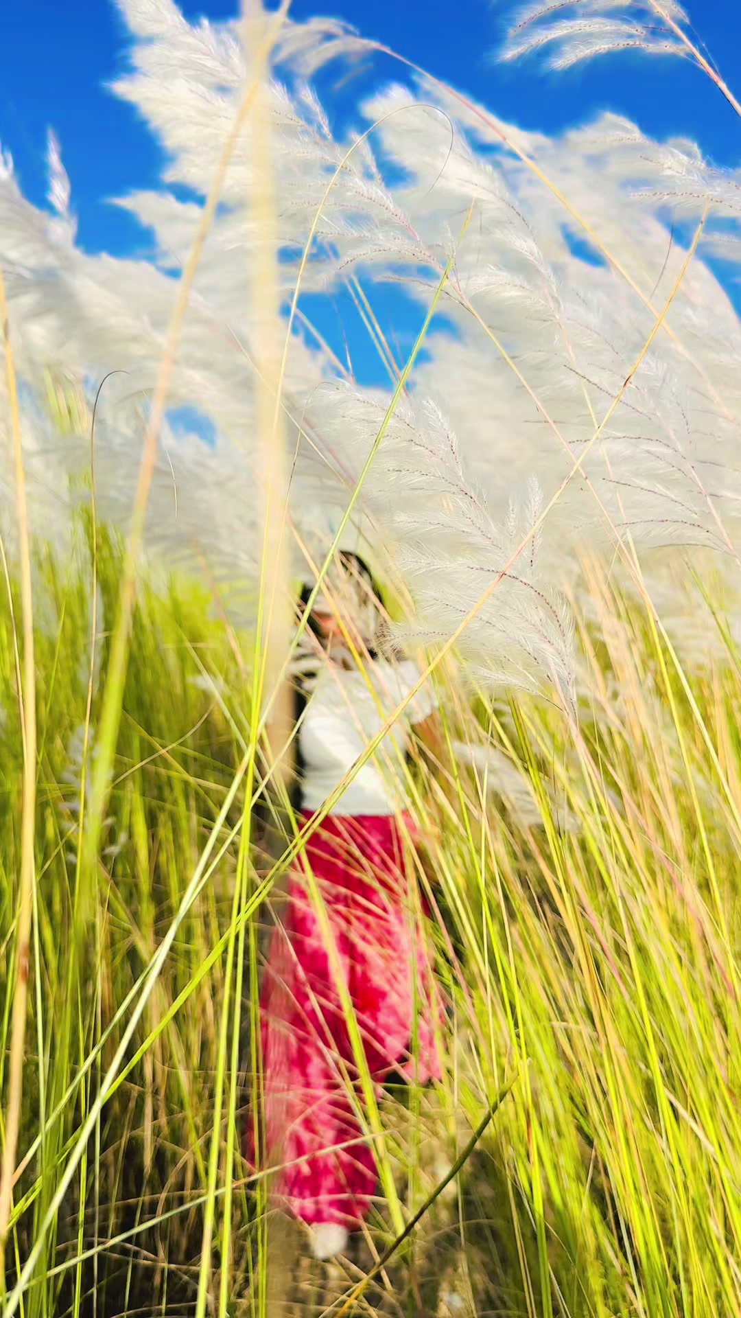 @rashmimagar04