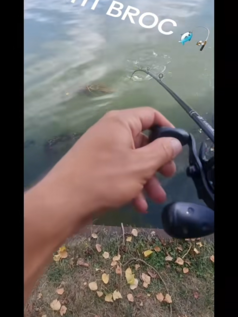 @🎣Max.Fishing27🎣