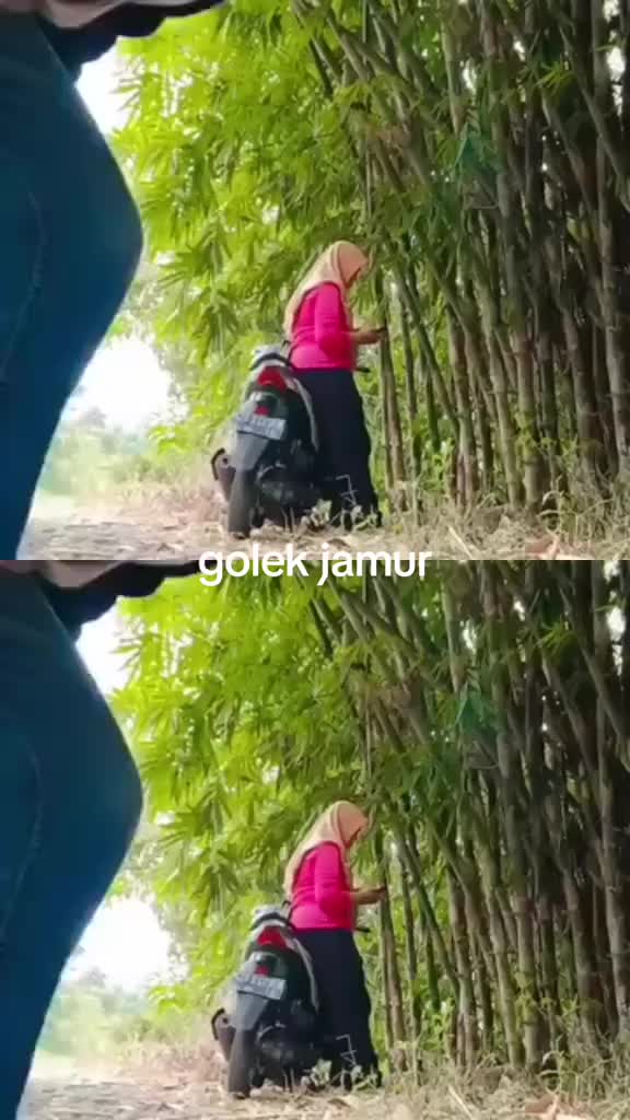 @Genoll