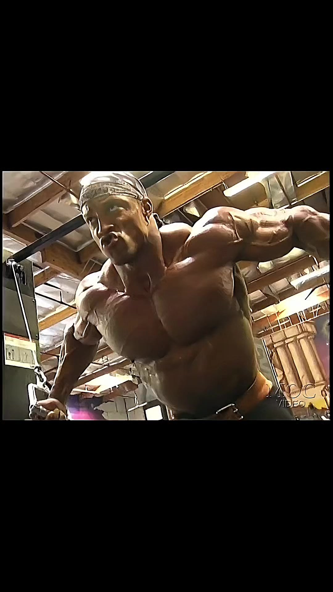 @MuscleUp