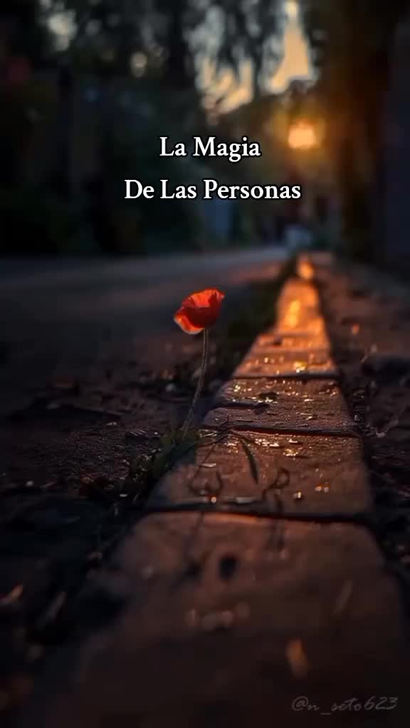 @🦋chinita🦋