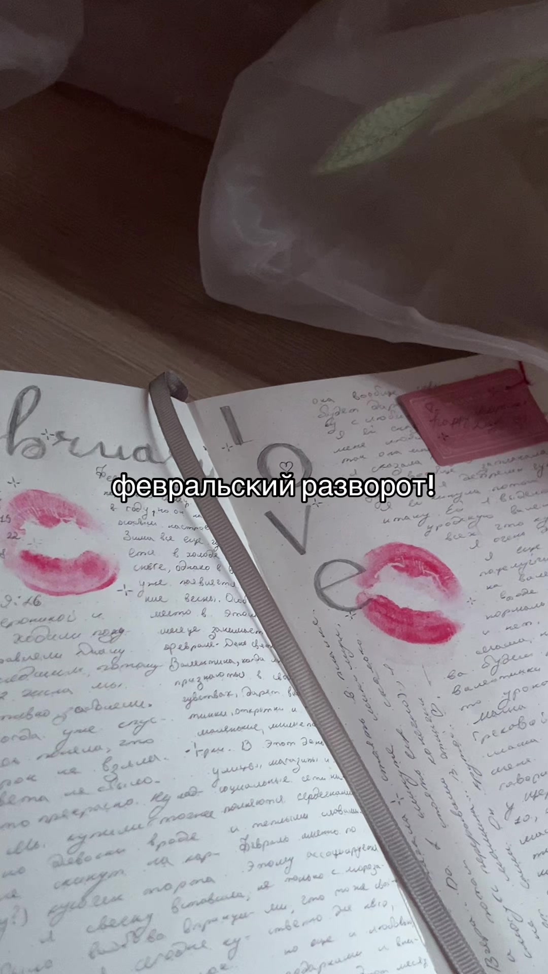 @шиншила.com