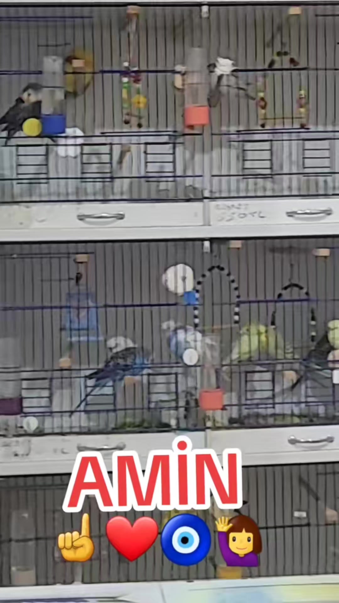 @HAYAT DEĞİL İNSANLAR ACIMASIZ