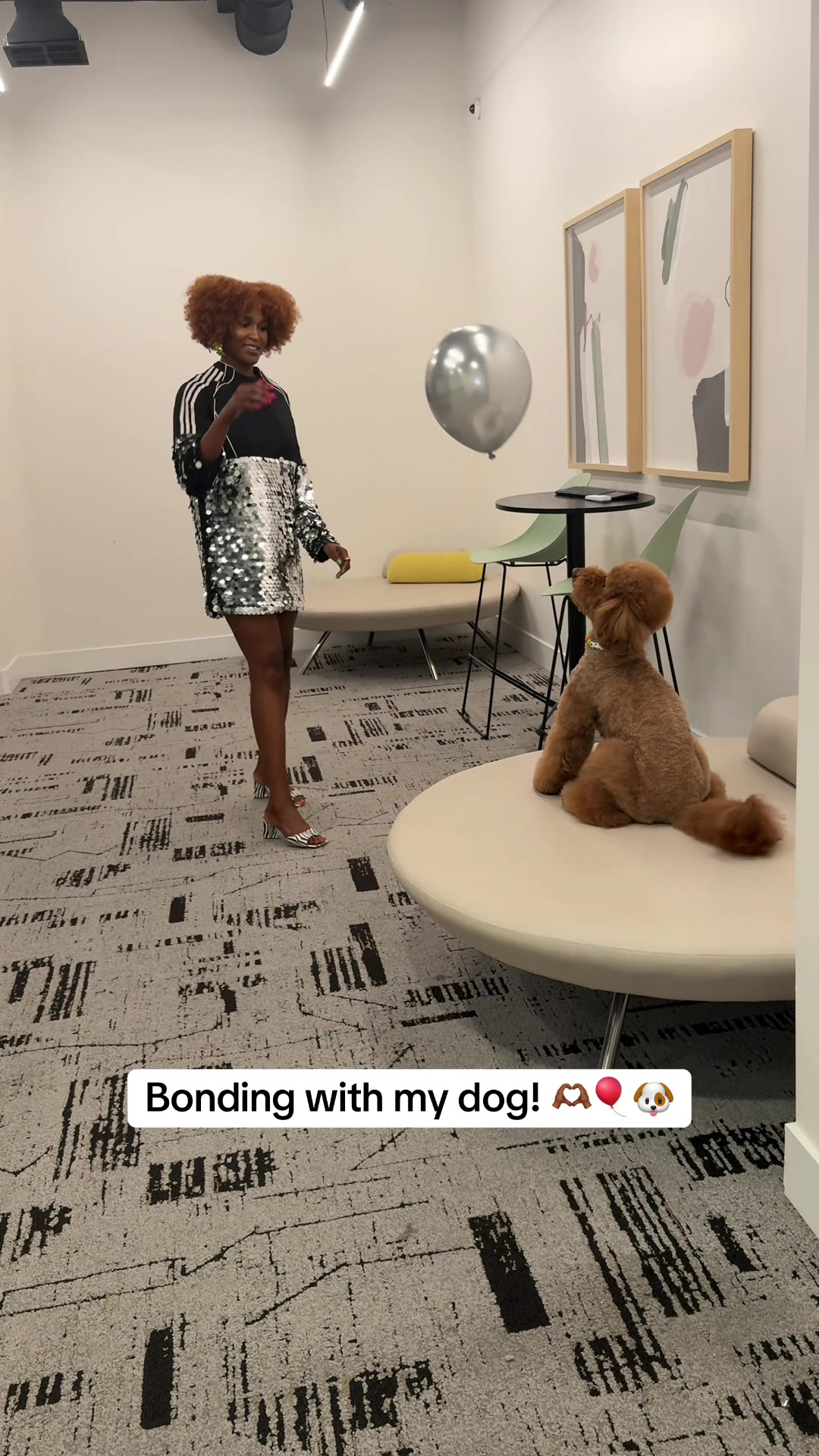 @Mocha | Mini Goldendoodle 🐾