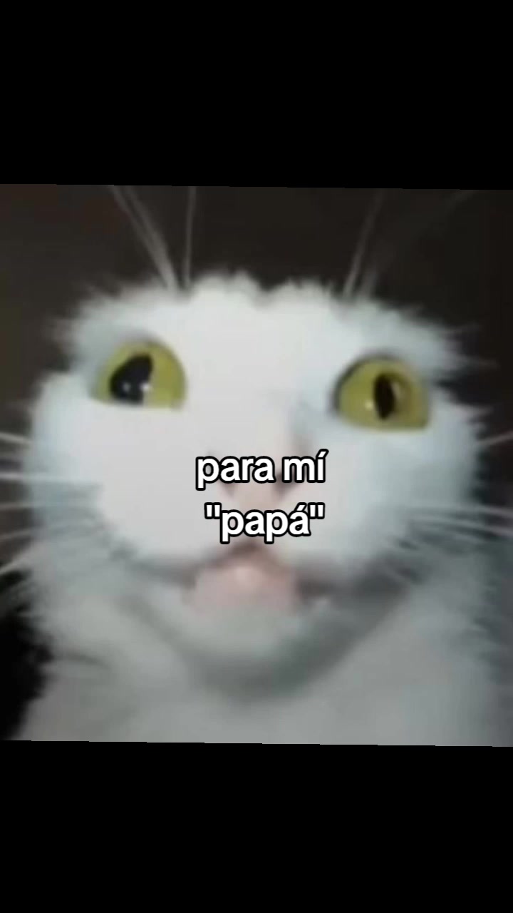 @larataxd