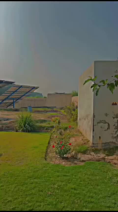 @Ali