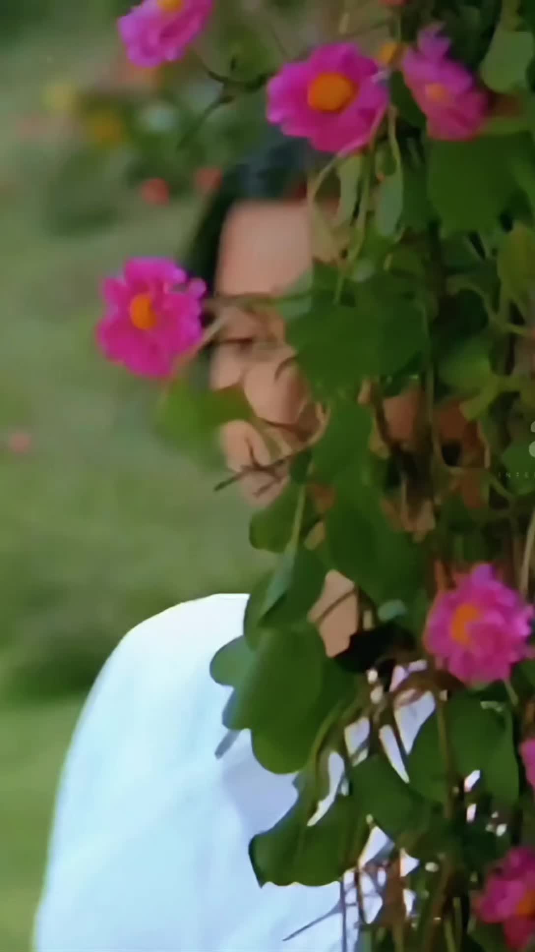 @𝕾.𝕸.𝕽𝖆𝖏𝖆..🎶