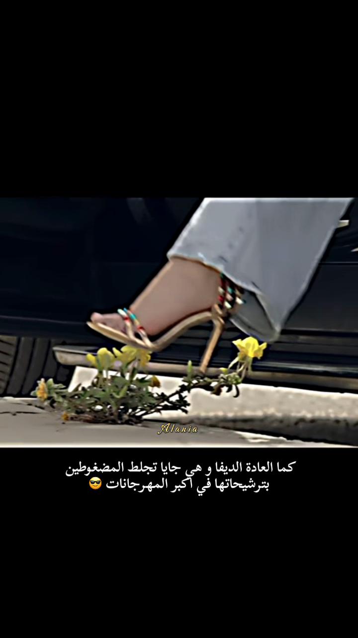 @⚜️ Alania | ألانية⚜️