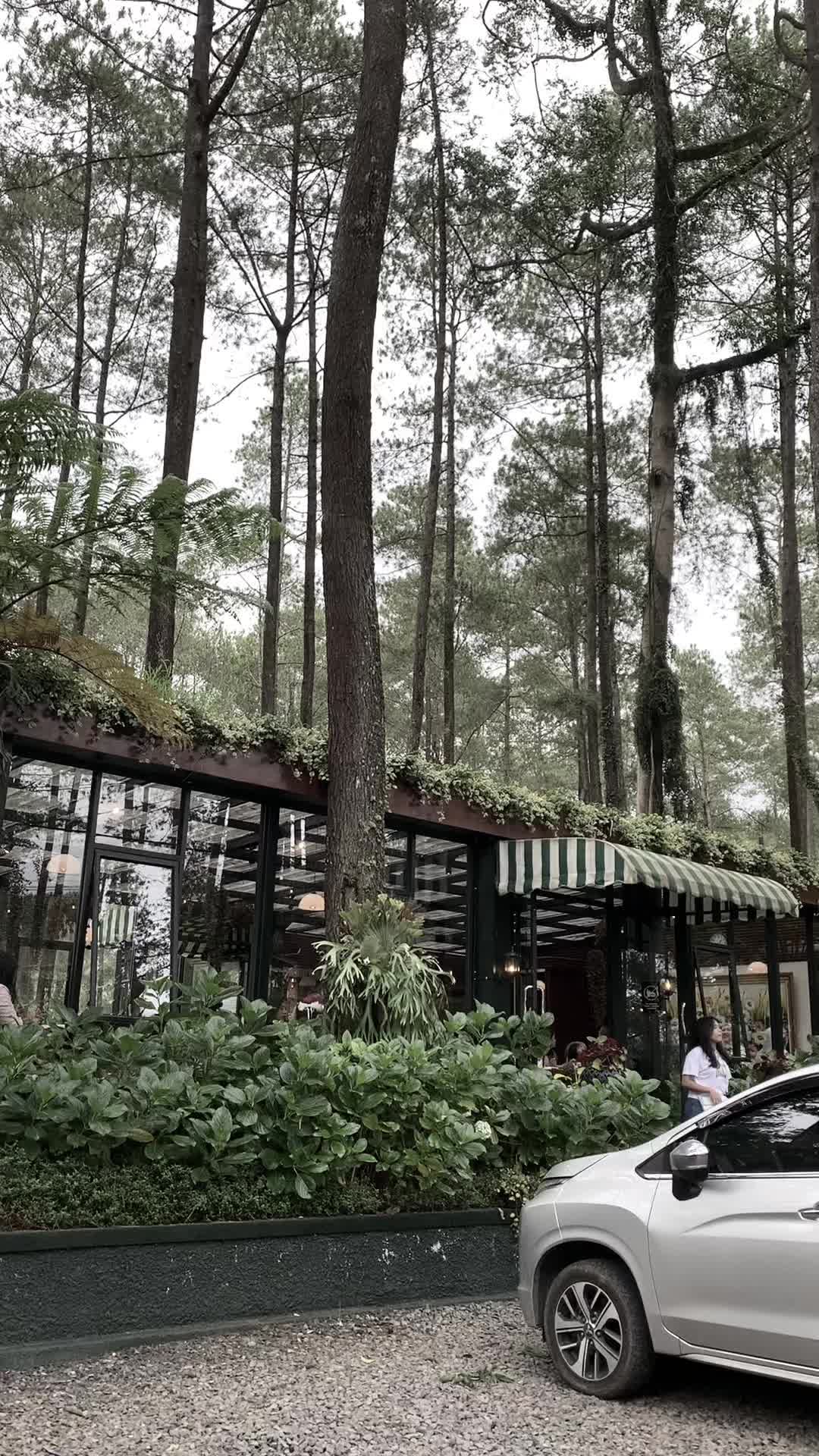 @Lisnasepti_🌻