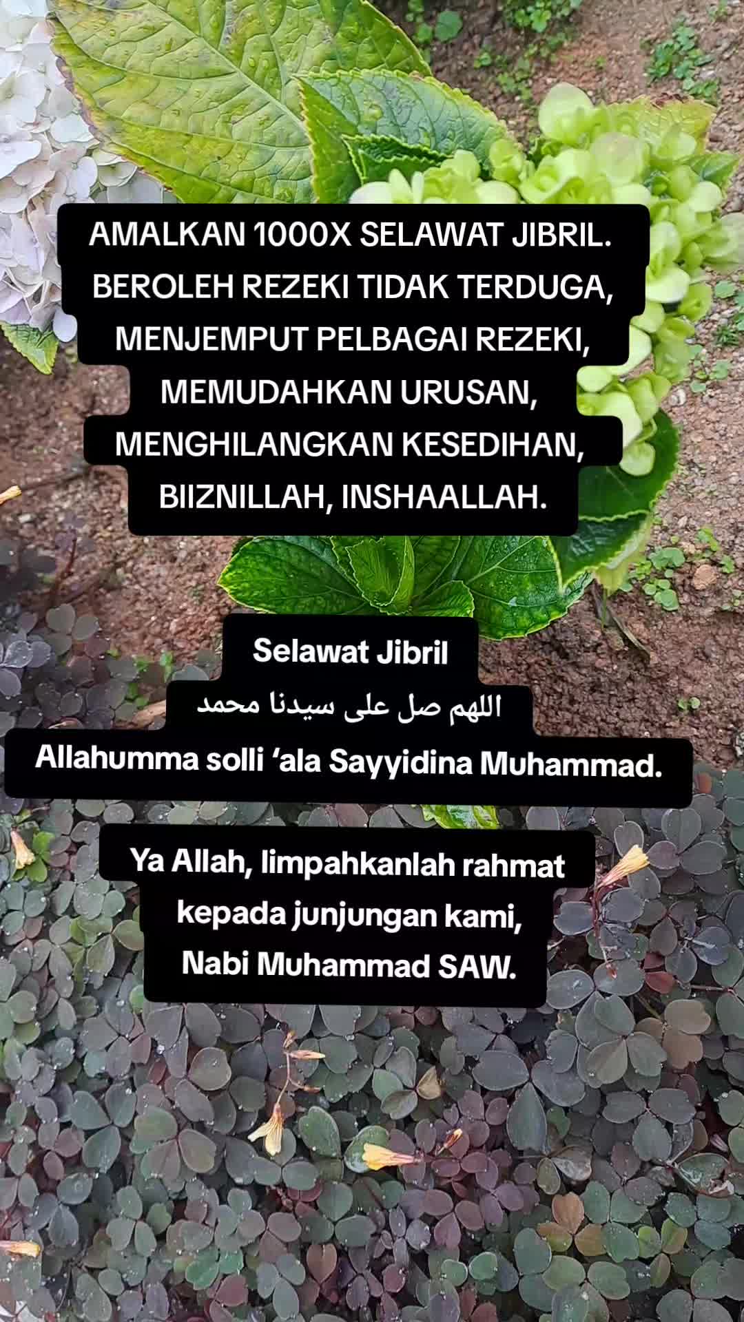 @BUNGA MAS