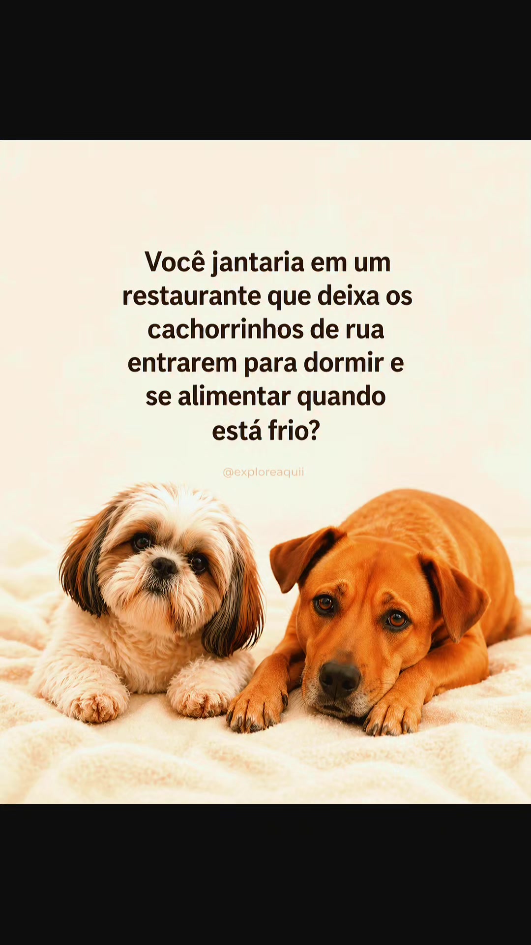 @Explore Aquii 🐾🐾✨️