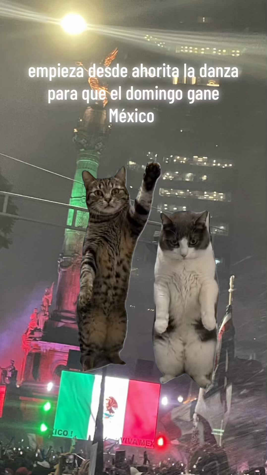 @Pao Luna