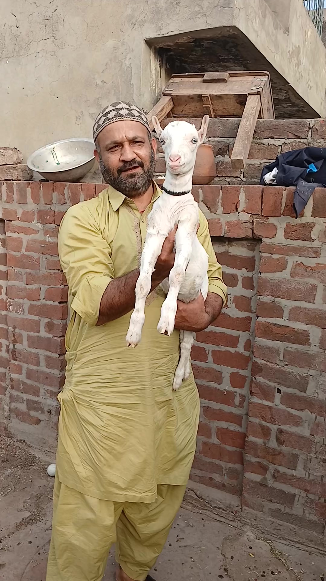 @Asif salad wala