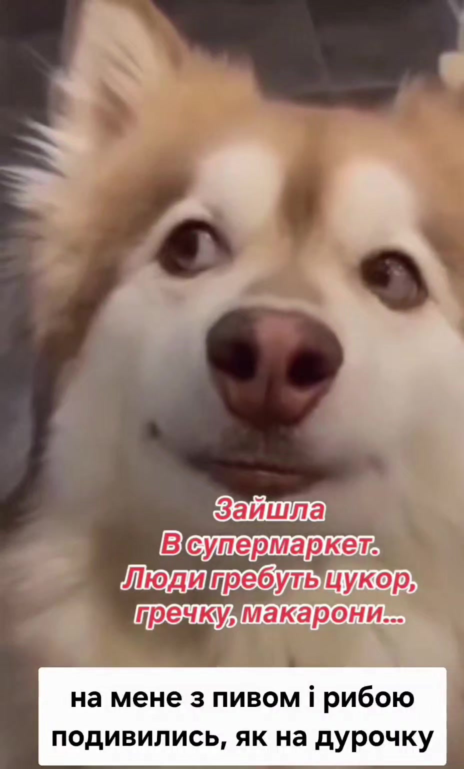 @Оксана Косаківська