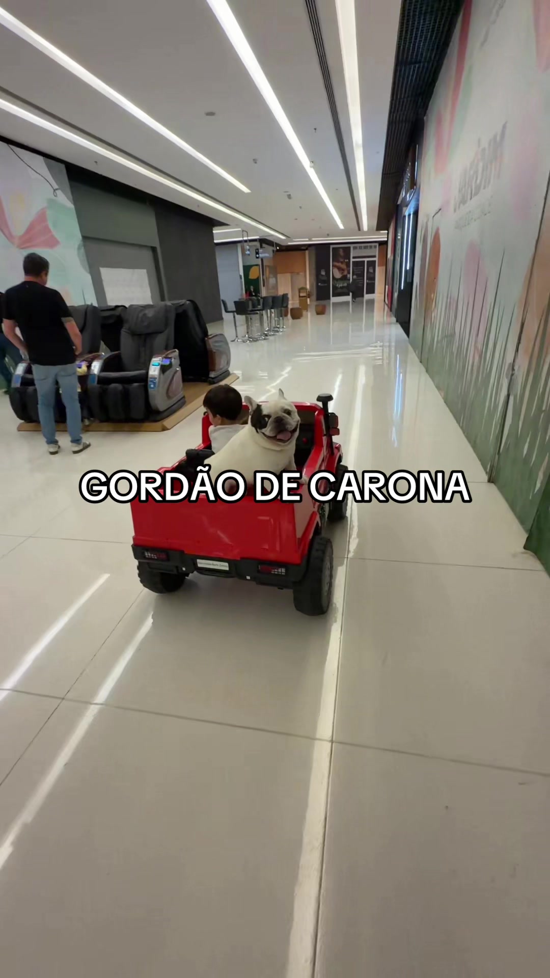 @Elena Marcondes