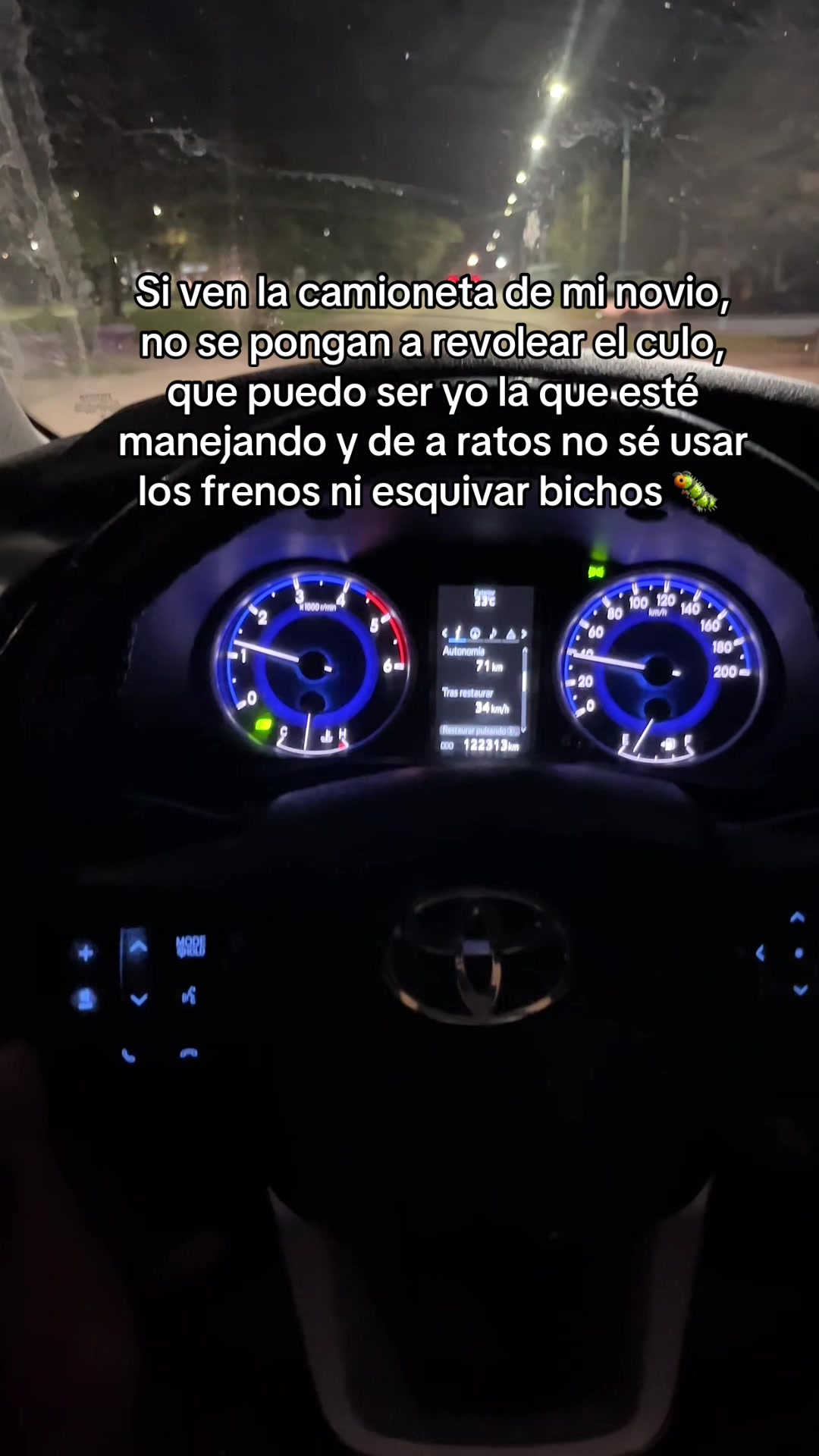 @Guillermina Artigau