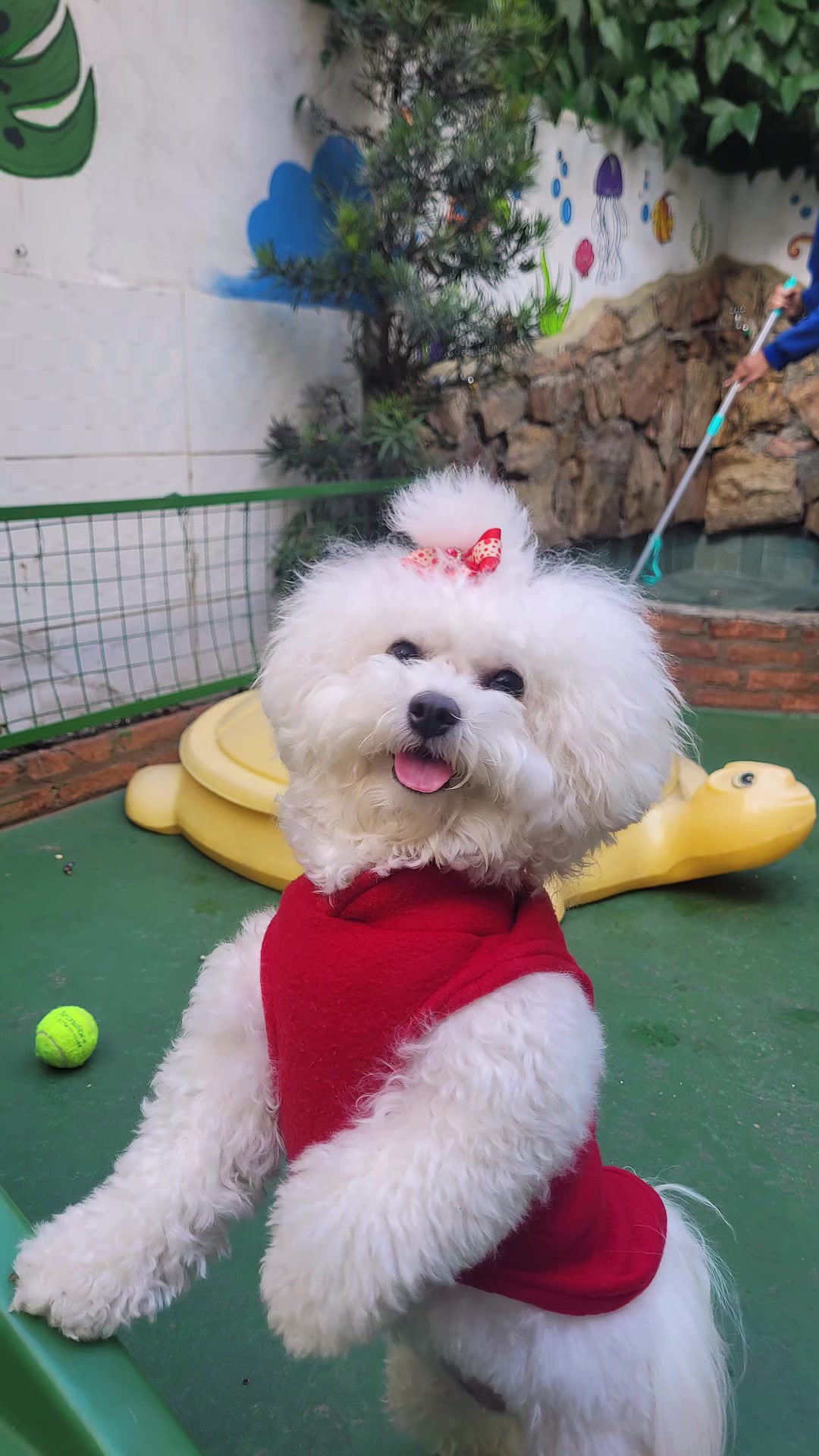 @Vila Dog | Daycare | Hotel Pet